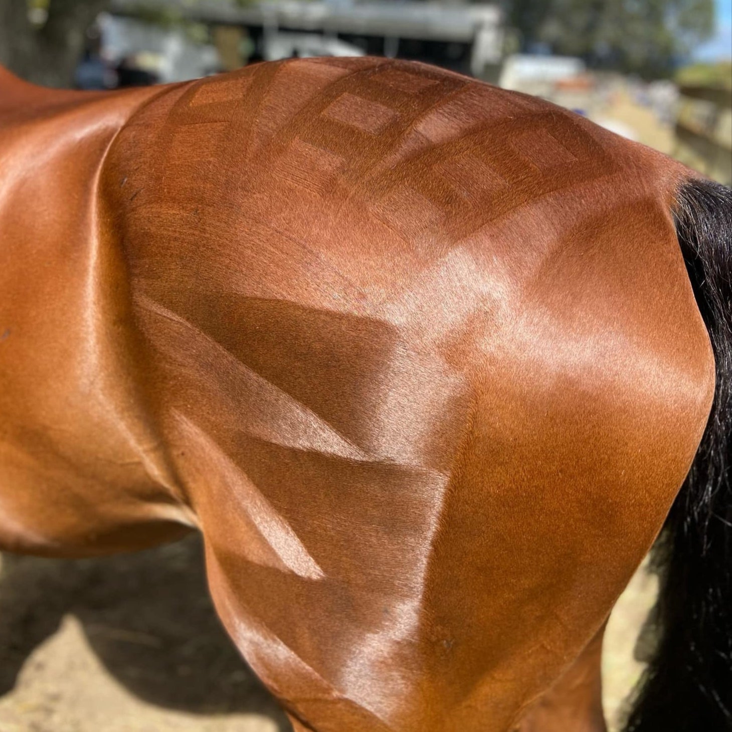 Clearance Quartermark Pro Fragrances