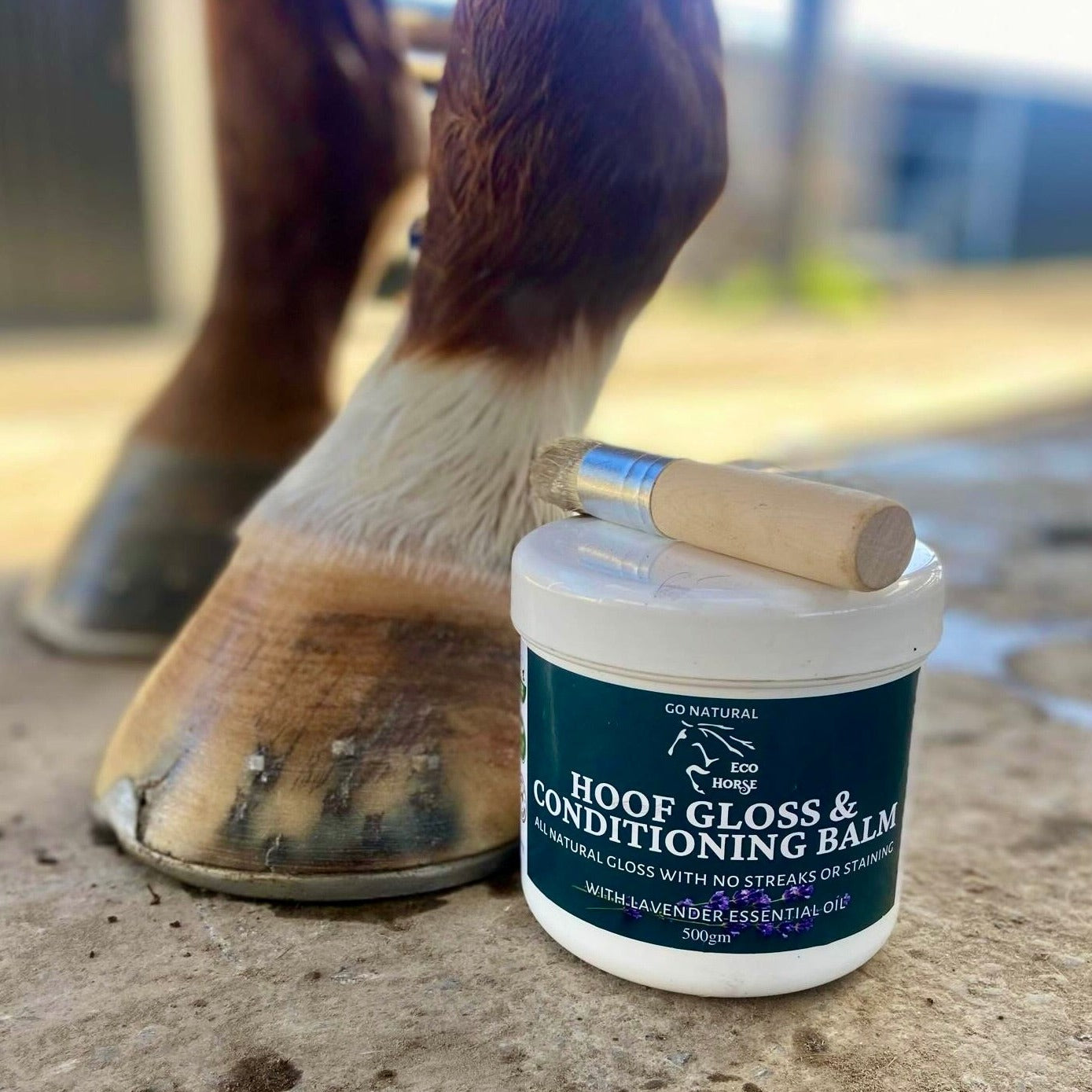 hoof products for horses