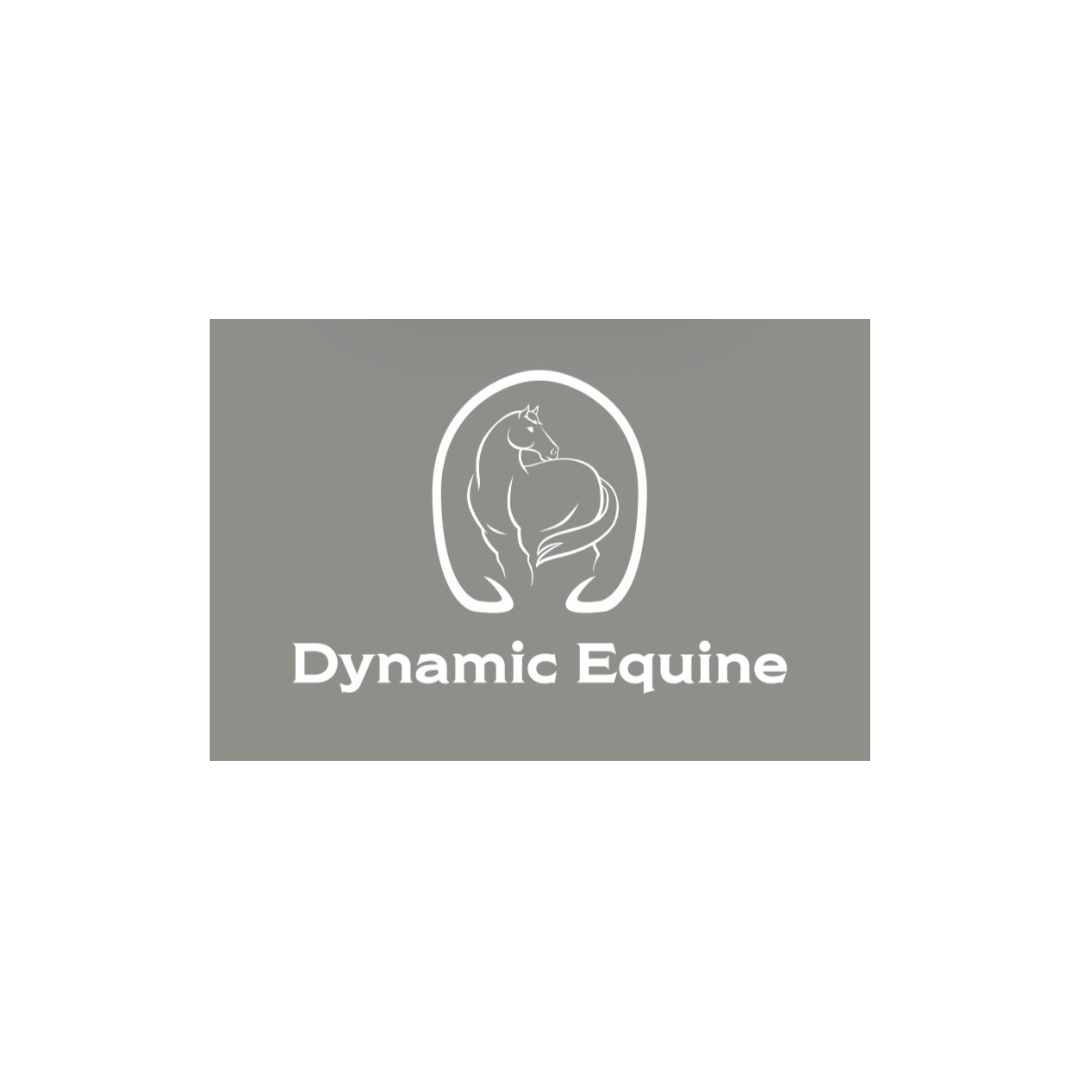 Dynamic Equine - Taranaki