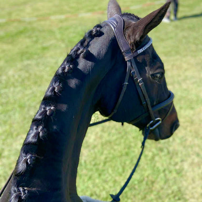 Plaiting Wand