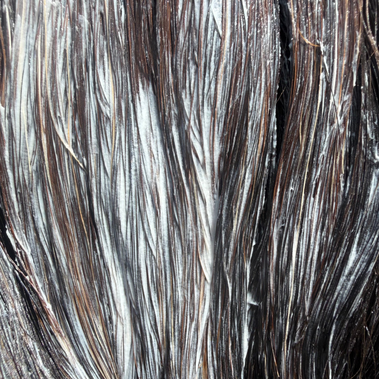 Restore Equine Hair Masque