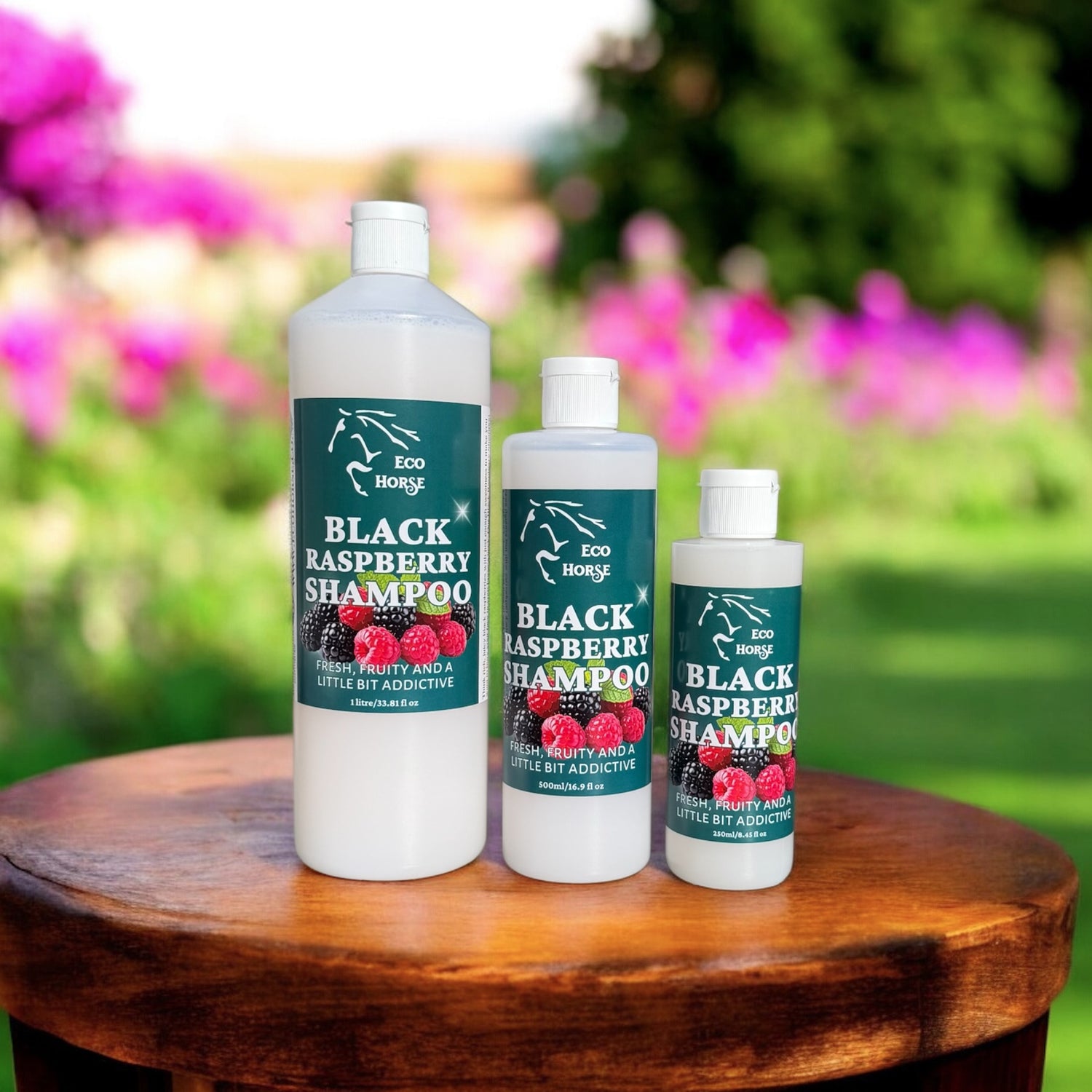 Black Raspberry Shampoo