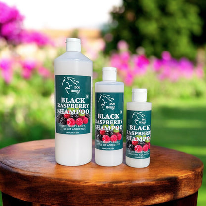 Black Raspberry Shampoo