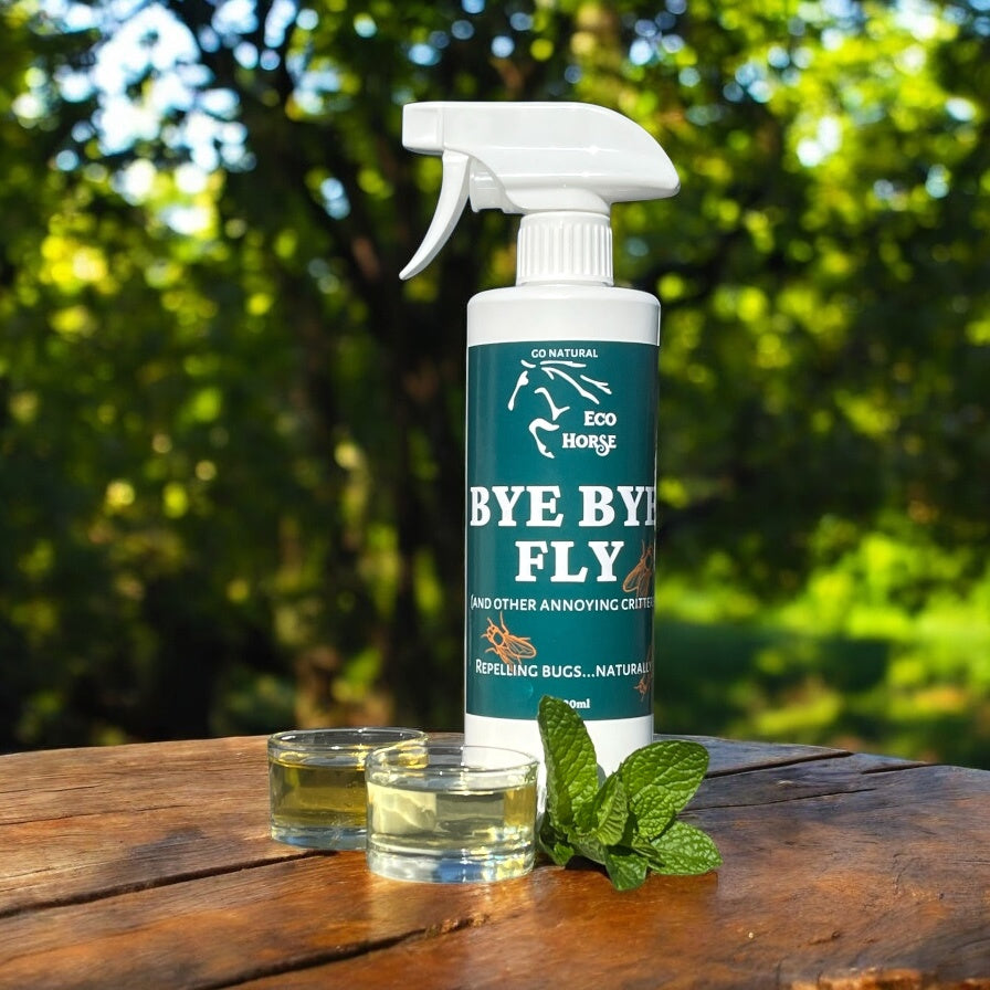 Bye Bye Fly