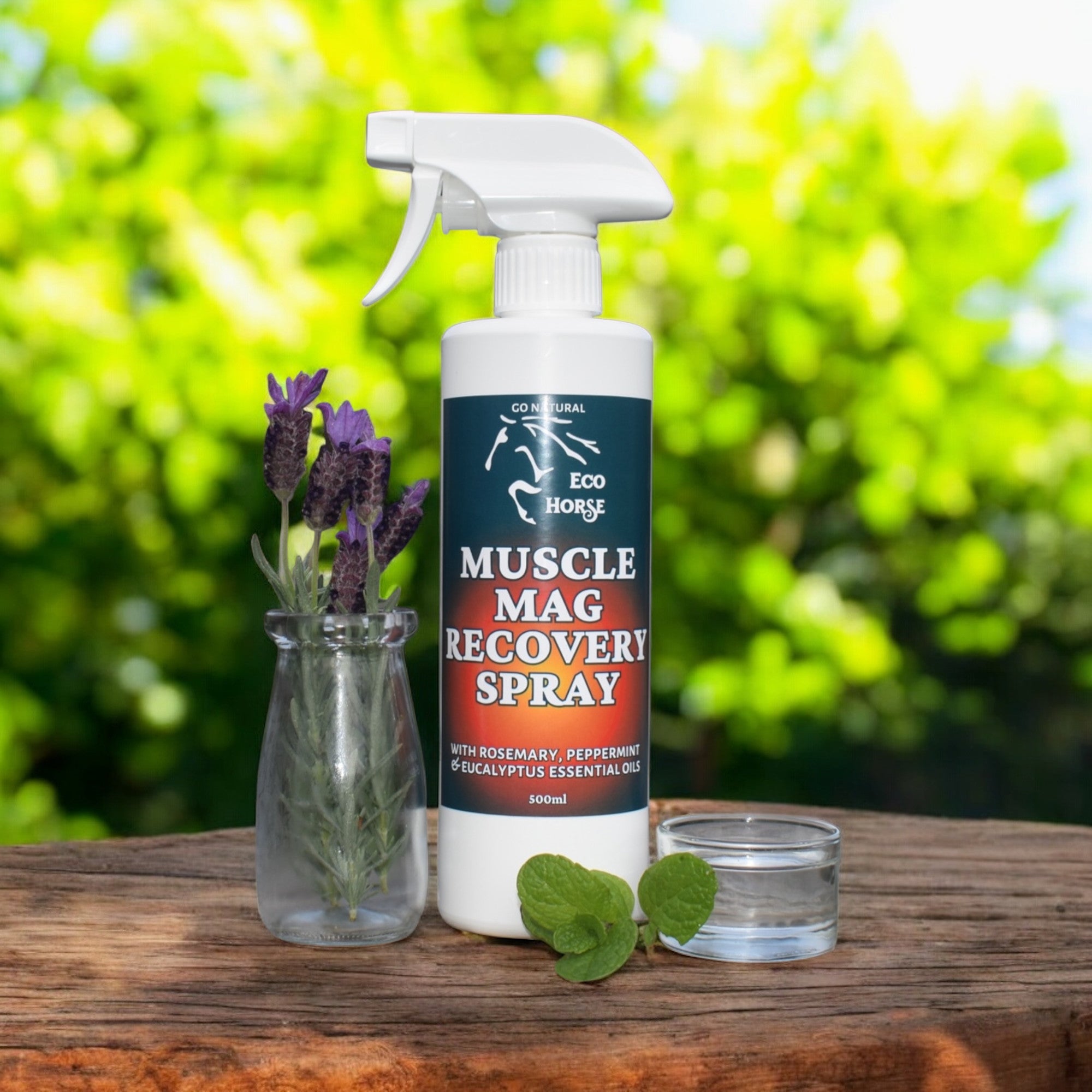 Muscle Mag Recovery Spray