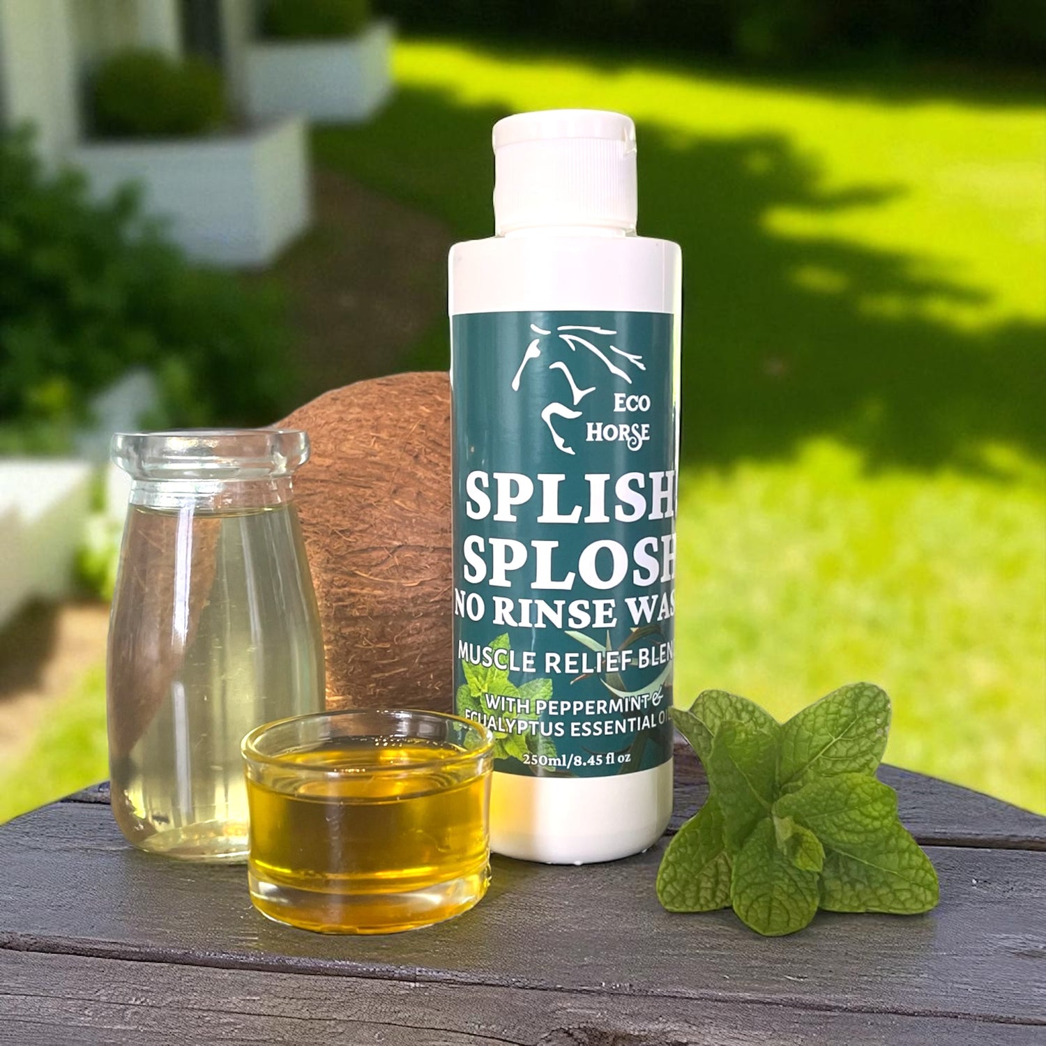 Splish Splosh No Rinse Wash